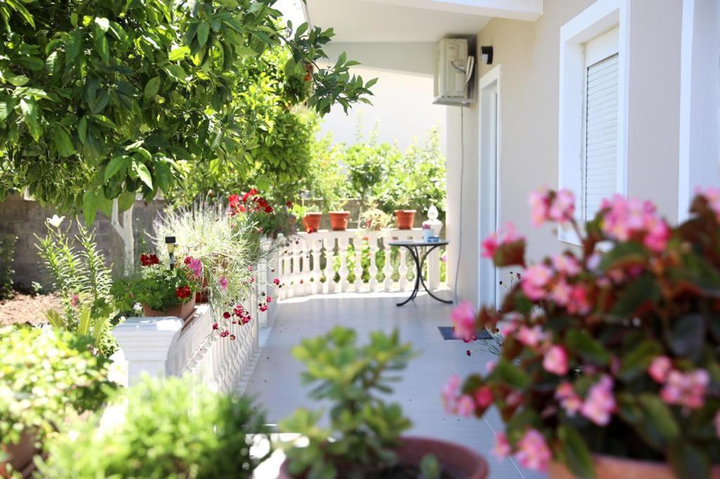 Guest House Narta Влёра Экстерьер фото